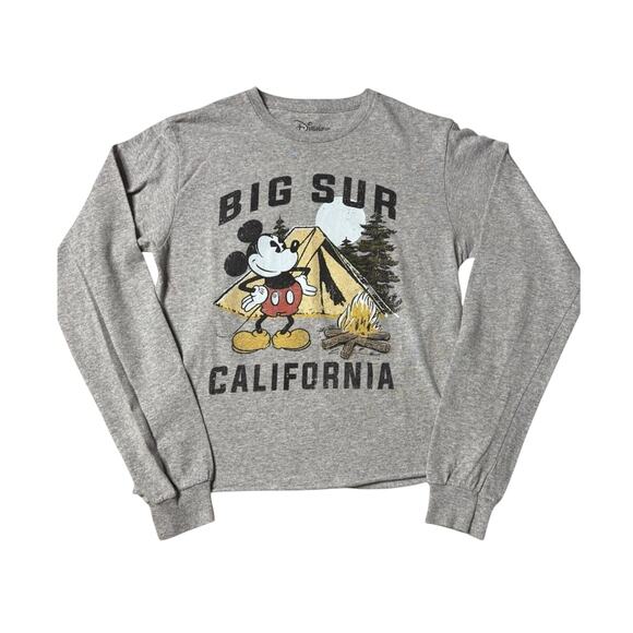 Disney Tops - Disney Mickey Mouse Big Sur California Cropped Tee Size S Gorpcore